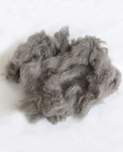 Silver Loose Fiber Natural Anti-bacterial Short Staple